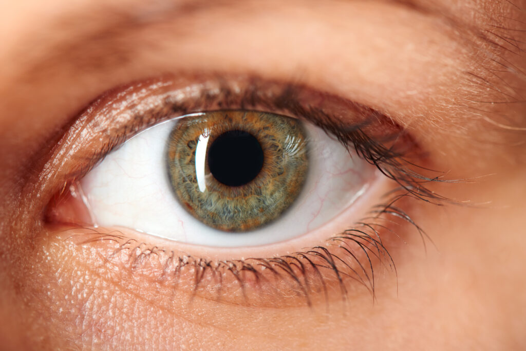 a photo of an eye: showing the benefits of goji berry