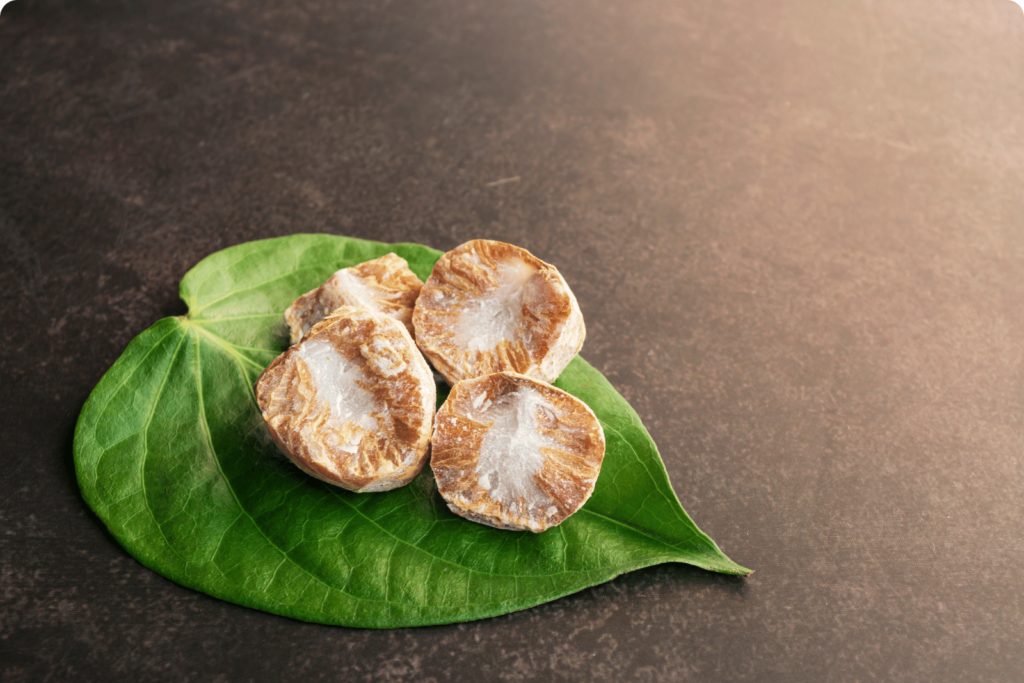 Black catechu extract placed on a leaf