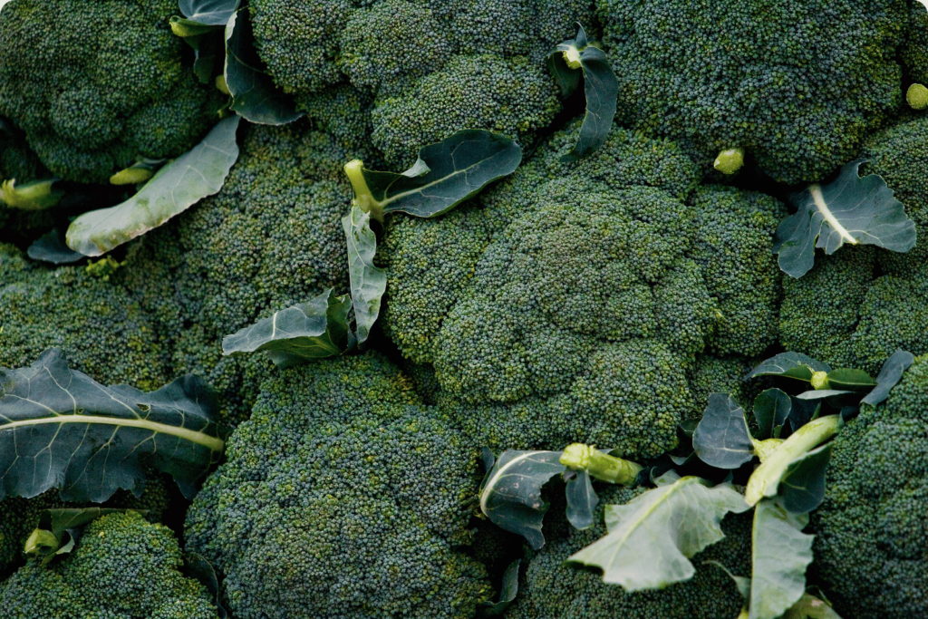 a photo of broccoli: extract